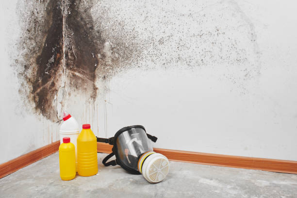 Crawl Space Mold Removal in Bowling Green, MO
