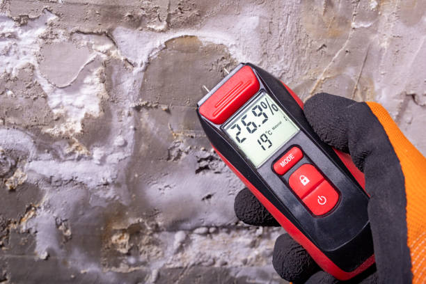 Best Emergency Mold Removal  in Bowling Green, MO